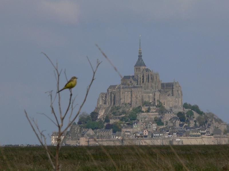 Mont Saint Michel 2010 - 418.jpg